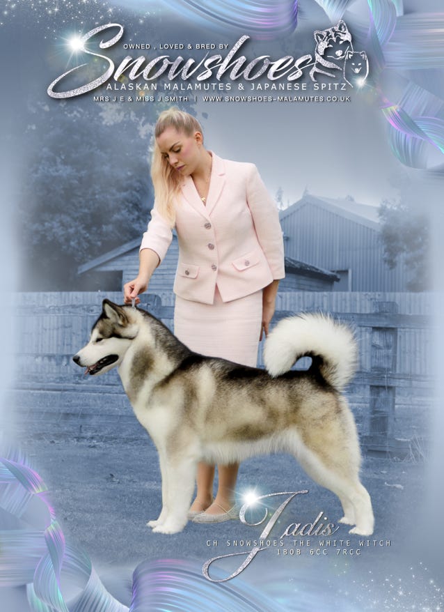 HOME [www.snowshoesmalamutes.co.uk]